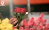 Chợ hoa Quảng Bá sôi động trước ngày Quốc tế Phụ nữ 8-3